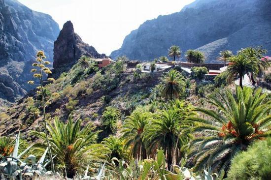 Marody Tenerife House El Médano Exteriér fotografie